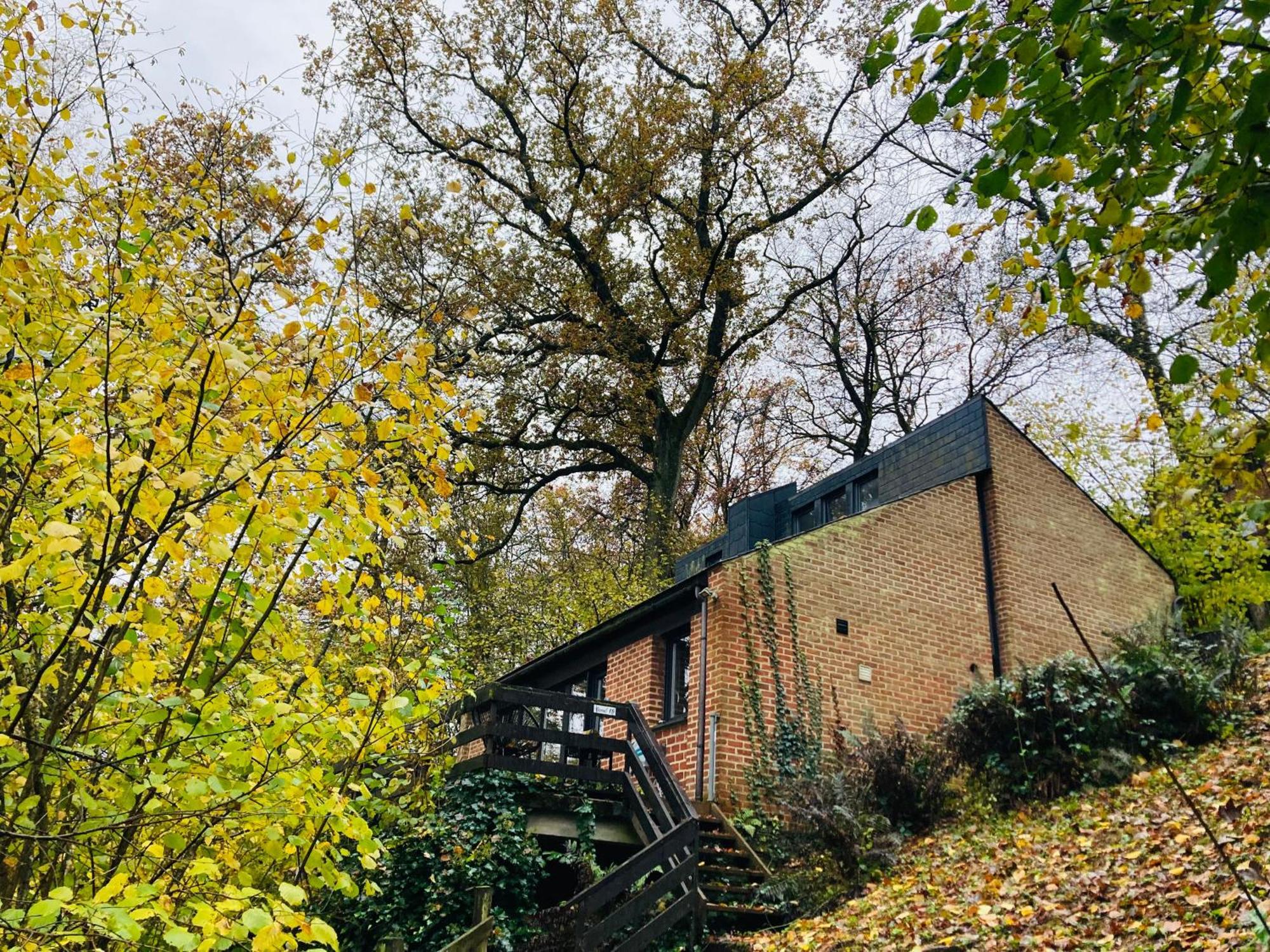 Woody - Duplex Nature Bonsoy Ardennes Hastiere-par-dela